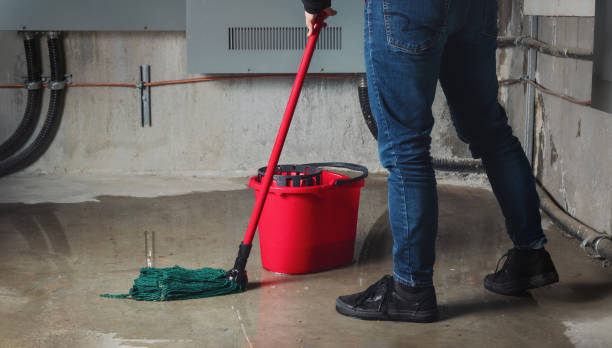 Best Sewage cleanup and water damage restoration  in Tioga, ND