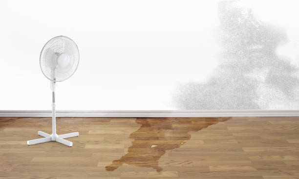 Reliable Tioga, ND Water damage restoration Solutions