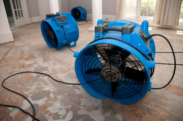 Best Flood damage cleanup  in Tioga, ND