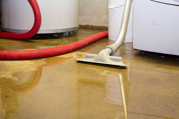 Best Water damage mitigation services  in Tioga, ND