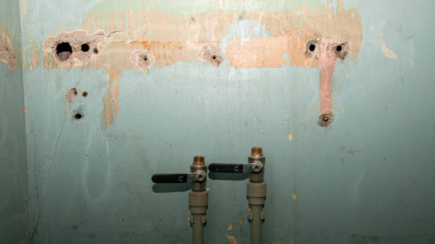 Best Emergency water damage restoration  in Tioga, ND