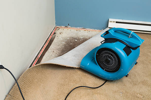 Best 24-hour water damage restoration  in Tioga, ND